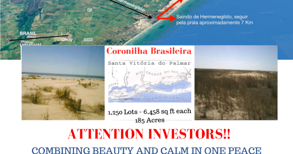 ATTENTION INVESTORS!! A virgin piece of land and beach. Brazil. Brazil. 